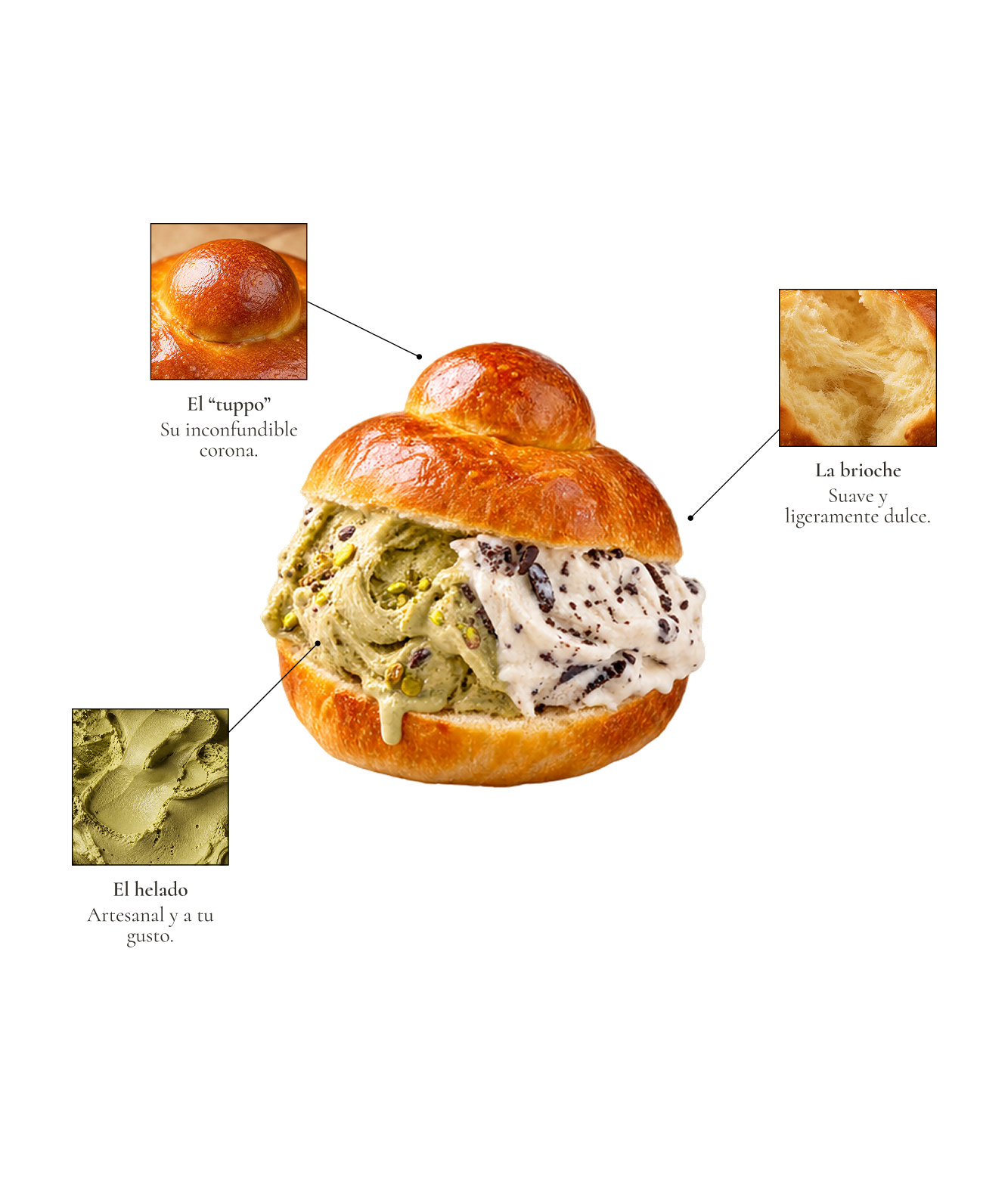 Anatomía de la brioche siciliana con el tuppo, la brioche y el gelato